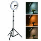 26cm LED Selfie Ring Light with Phone Mount, 7ft Adjustable Tripod, 3 Color Modes, USB-Powered Dimmable Light for Photography & Video Shooting